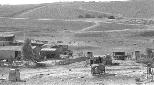 kayed